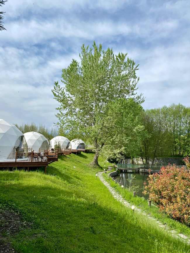 GlampingHouse dome resort installed on a lakeside deck among green trees